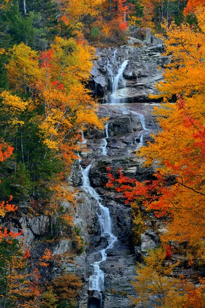 Podzimní listí zobrazení — Stock fotografie