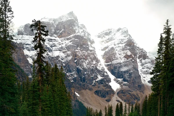 Schneebedeckter Berg — Stockfoto