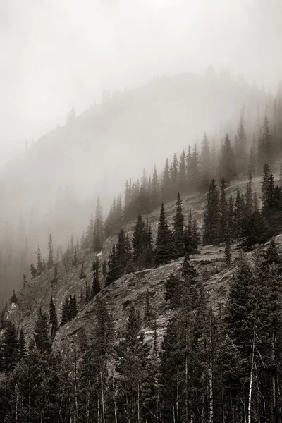 Nationaal park Banff — Stockfoto