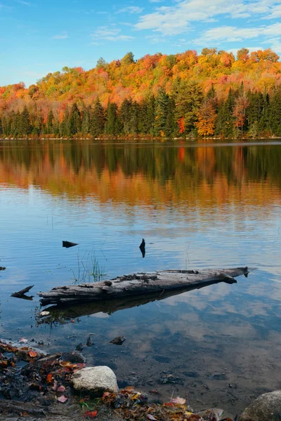 Follaje de otoño del lago —  Fotos de Stock