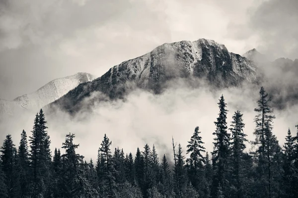 Banff Ulusal Parkı — Stok fotoğraf