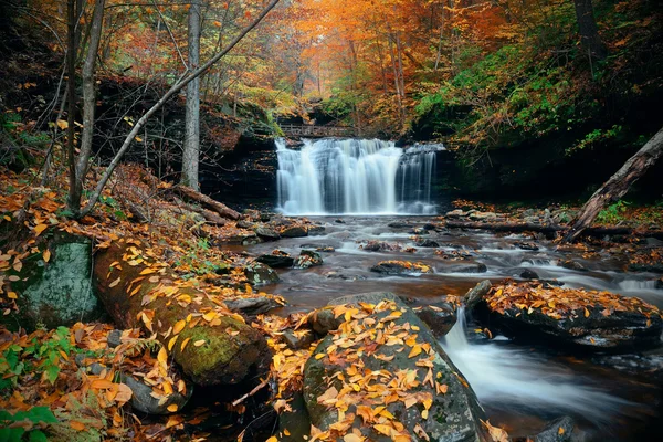 秋の滝を表示します。 — ストック写真