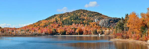 Jezioro i jesień liści — Zdjęcie stockowe