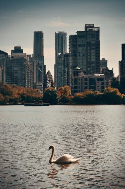 Vancouver şehir manzarası