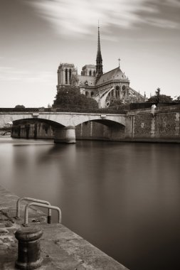 Seine Oda