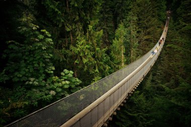 Capilano Suspension Bridge clipart