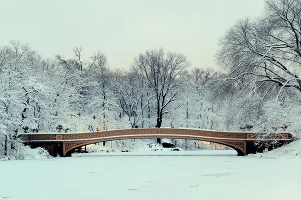 Central park winter Stock Photos, Royalty Free Central park winter ...