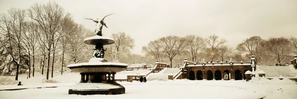 中央公园的冬天 — 图库照片