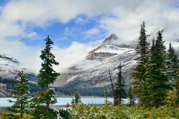 Bow Lake view — Stockfoto