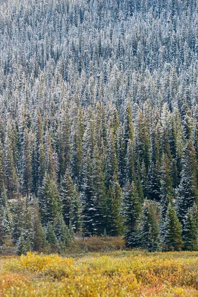 Banff-Nationalpark — Stockfoto