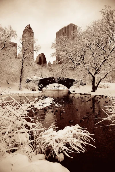 Central park vinter — Stockfoto