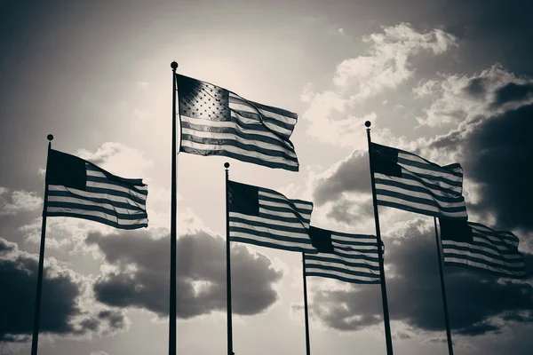 United States National Flags — Stock Photo, Image