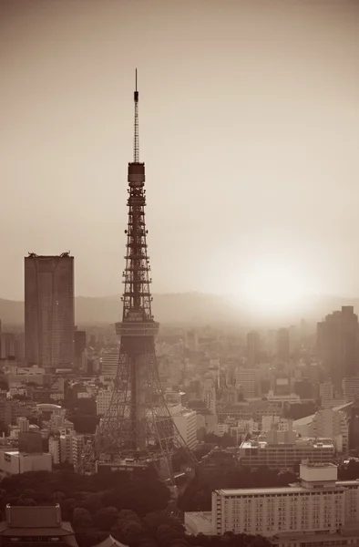 Tóquio Skyline view — Fotografia de Stock