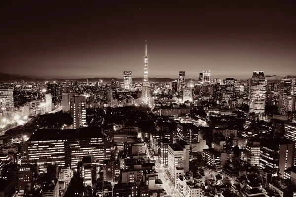 Tokyo Skyline view — Stockfoto