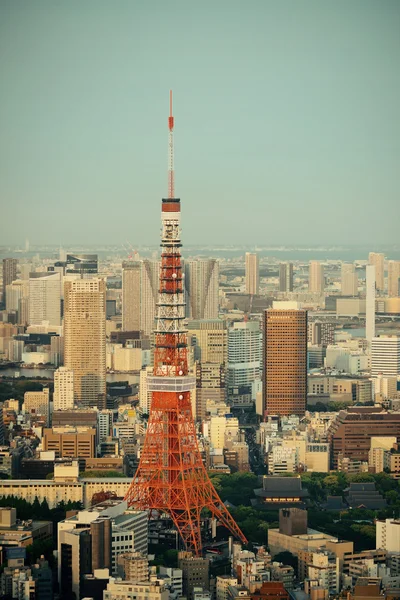 Вид на Токио — стоковое фото