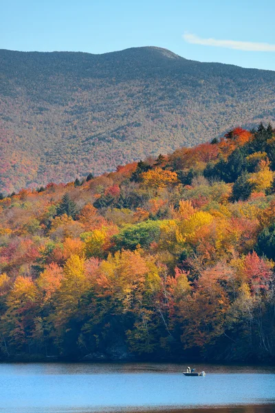 Fogliame d'autunno del lago — Foto Stock