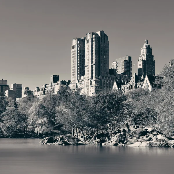 Central park herfst — Stockfoto