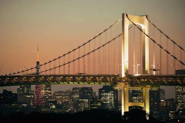 Blick auf die Bucht von Tokio — Stockfoto