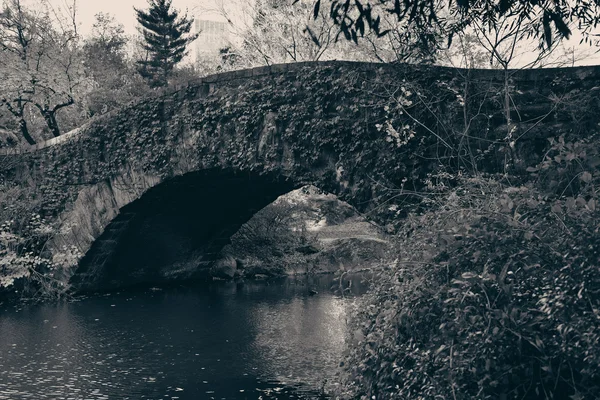 Central park herfst — Stockfoto