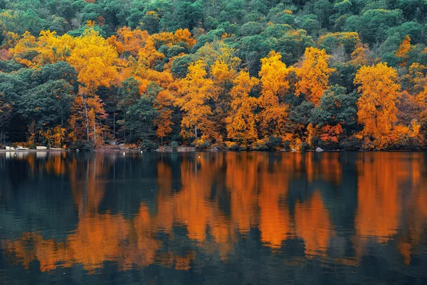 Otoño vista al lago — Foto de Stock