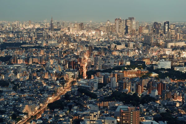 Видом на горизонт Токіо — стокове фото