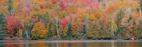 Jezioro jesień liści — Zdjęcie stockowe