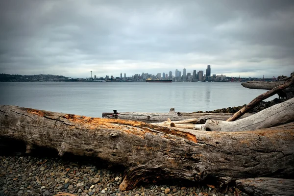 Seattle Şehir Manzaralı — Stok fotoğraf