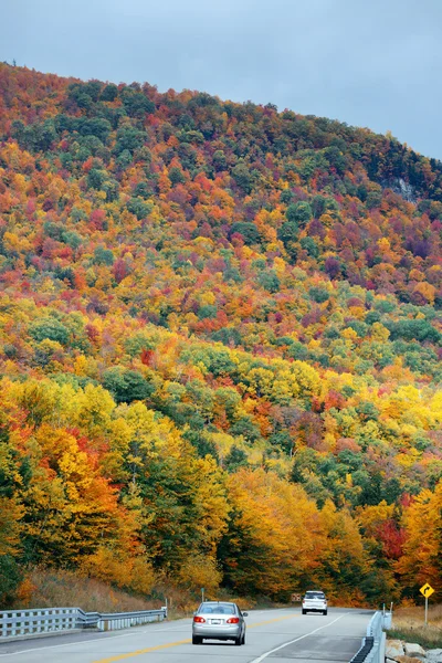 Autobahn und Herbstlaub — Stockfoto