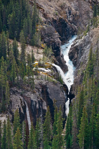Skogen och vattenfall — Stockfoto