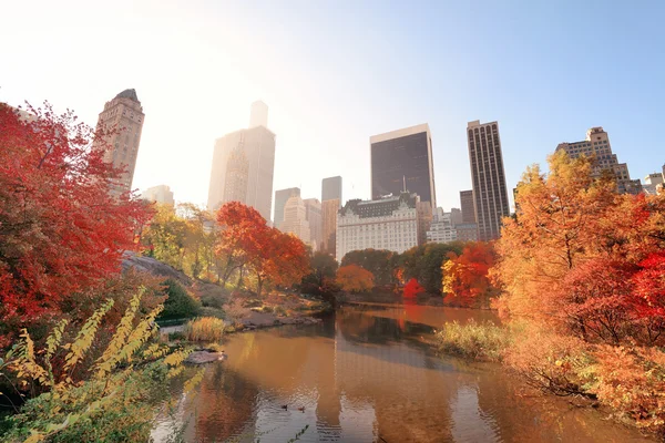 Central Park Autumn Stock Image