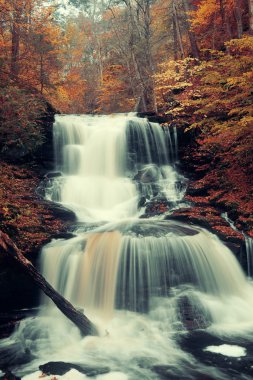 Park sonbahar şelaleler