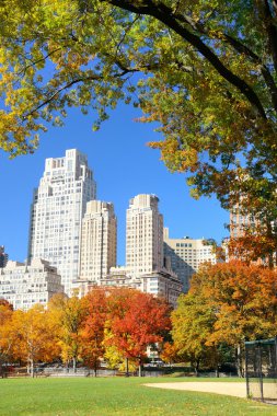 Central Park'a sonbahar