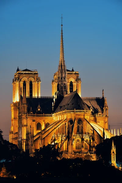 Senhora de notre de Paris — Fotografia de Stock