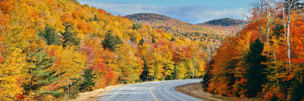 Highway and Autumn foliage