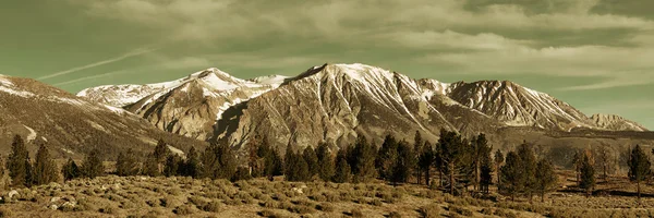 Park Narodowy Yosemite — Zdjęcie stockowe