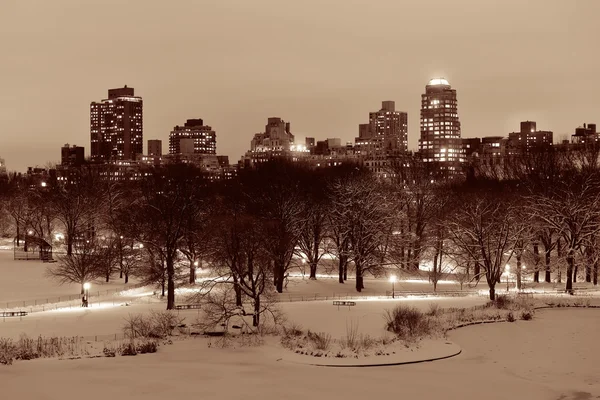 Central Park'a kış — Stok fotoğraf