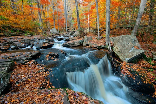 Autumn waterfalls in park — Stock Photo, Image