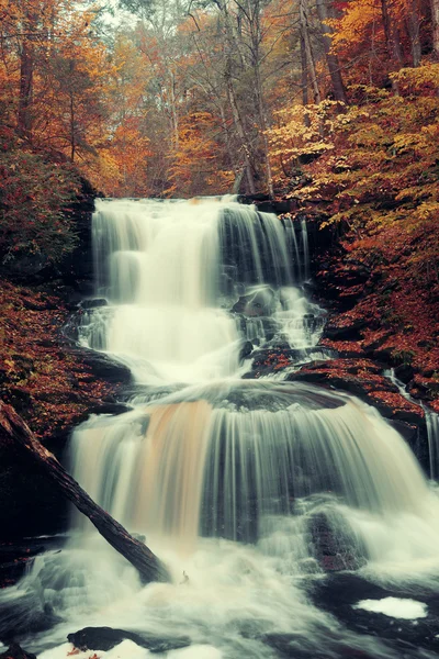 Park sonbahar şelaleler