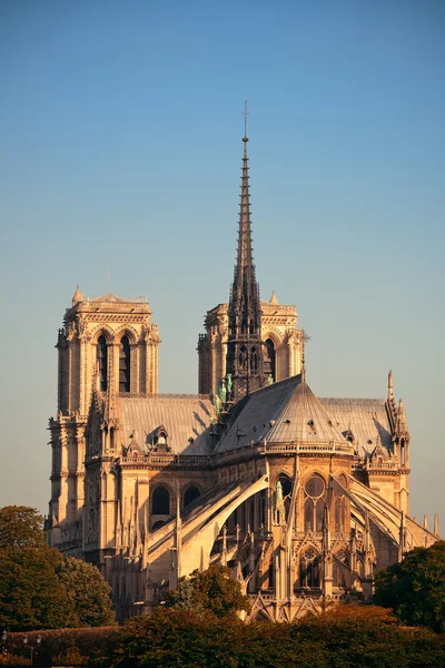 Katedry Notre Dame w Paryżu — Zdjęcie stockowe