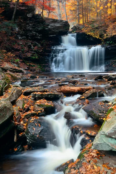 Autumn waterfalls in park — Stock Photo, Image