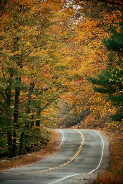 Herfst weg weergave — Stockfoto