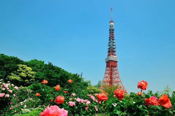 Tokyo Tower z kwiatami — Zdjęcie stockowe