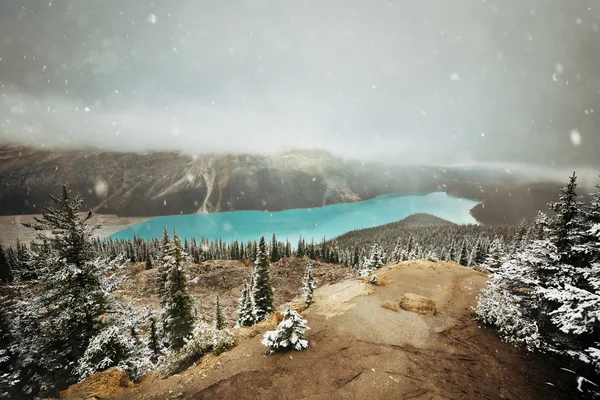 Peyto Lake w zimie — Zdjęcie stockowe