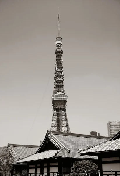 Tokyo Tower και το ναό — Φωτογραφία Αρχείου