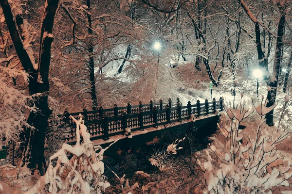 Zentralpark-Winter — Stockfoto