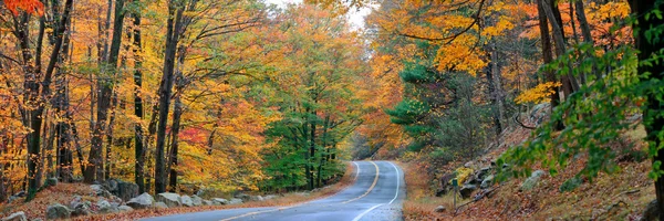 Herbst buntes Laub — Stockfoto