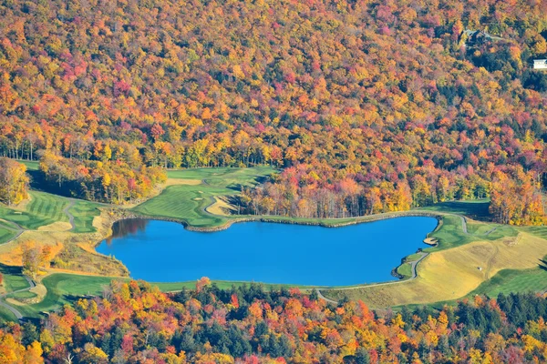 Feuillage d'automne du lac — Photo