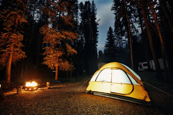 Acampar na floresta com luz da barraca — Fotografia de Stock