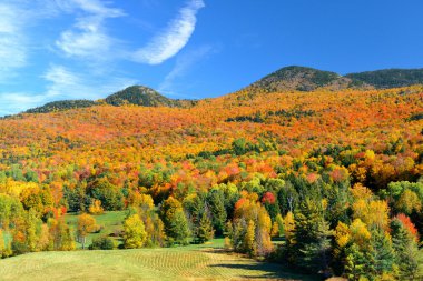 Stowe kırsal görünümü