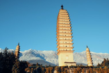 Dali pagoda görünümü